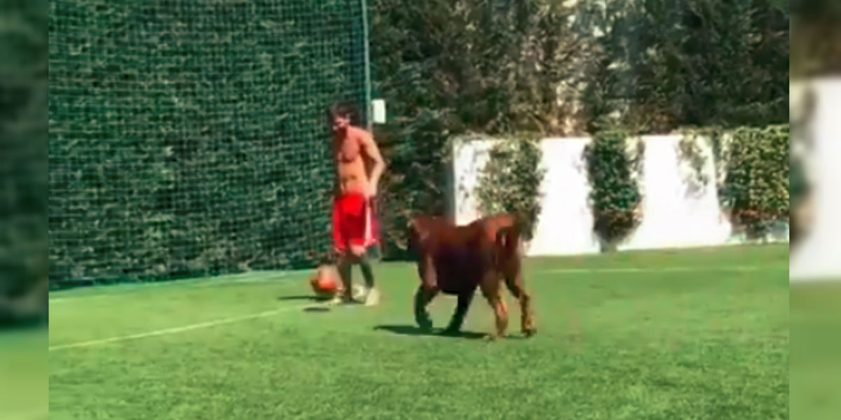 El V Deo De Lionel Messi Y Su Perro Que Causa Furor En Redes Sociales