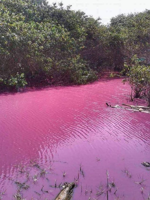 El R O Rosado En Colombia Que Pocos Conocen Canal