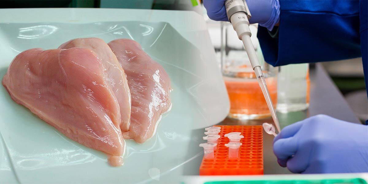 Ee Uu Aprueba Venta De Carne De Pollo Cultivada En Laboratorio Canal