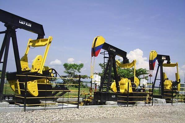 Vector colombia. Кокаиновые плантации в колумбии. Производитель колумбии. Наркоторговля в колумбии. Columbia sportswear куртка мужская.