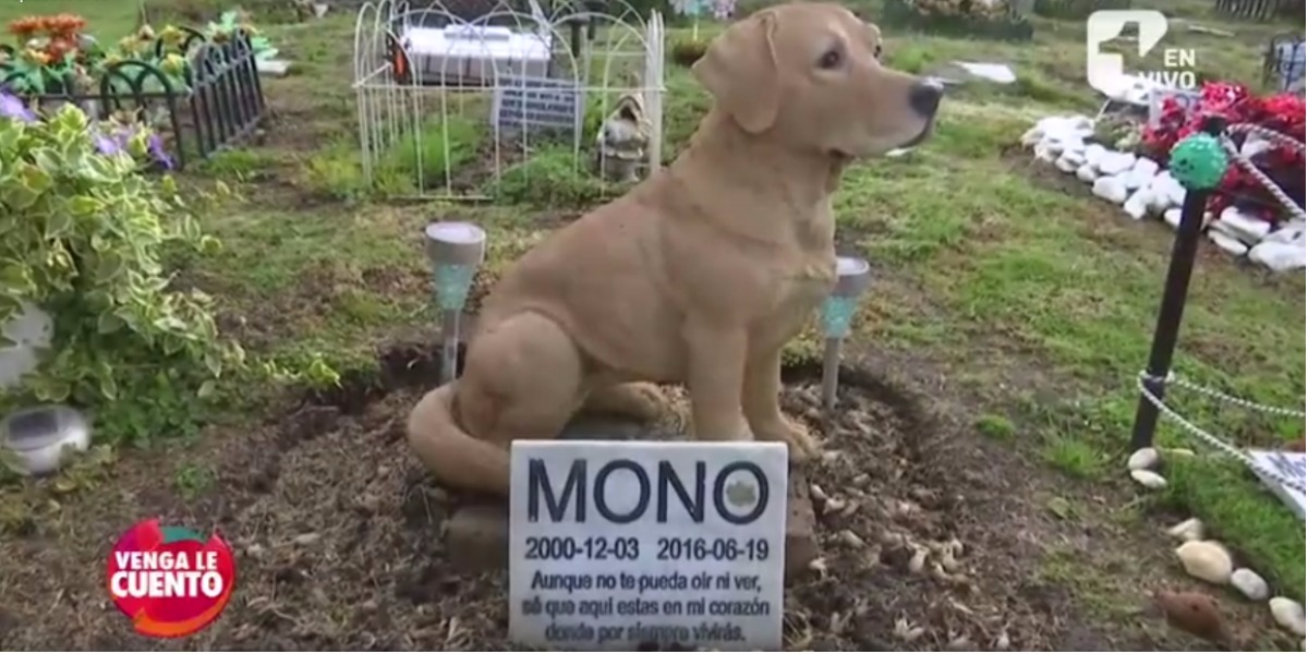 Un cementerio para mascotas - Foto: captura de pantalla.