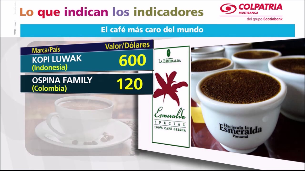 Indicadores El café más caro del mundo Canal 1