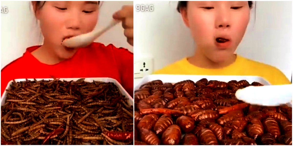 La niña que come insectos es la nueva sensación de las redes sociales