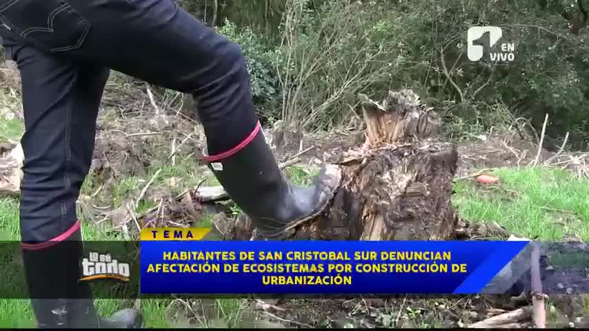 Denuncian tala indiscriminada de árboles en el sur de Bogotá - Canal 1