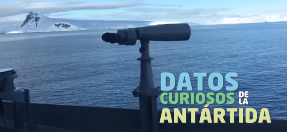 Los datos más sorprendentes del Continente Blanco y que quizá no Los datos más sorprendentes del Continente Blanco y que quizá no