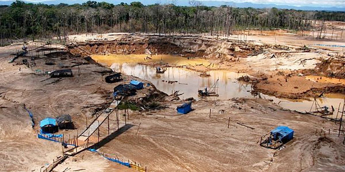 LA INFLUENCIA DE LOS GRUPOS ARMADOS EN LA DEGRADACIÓN AMBIENTAL DE COLOMBIA