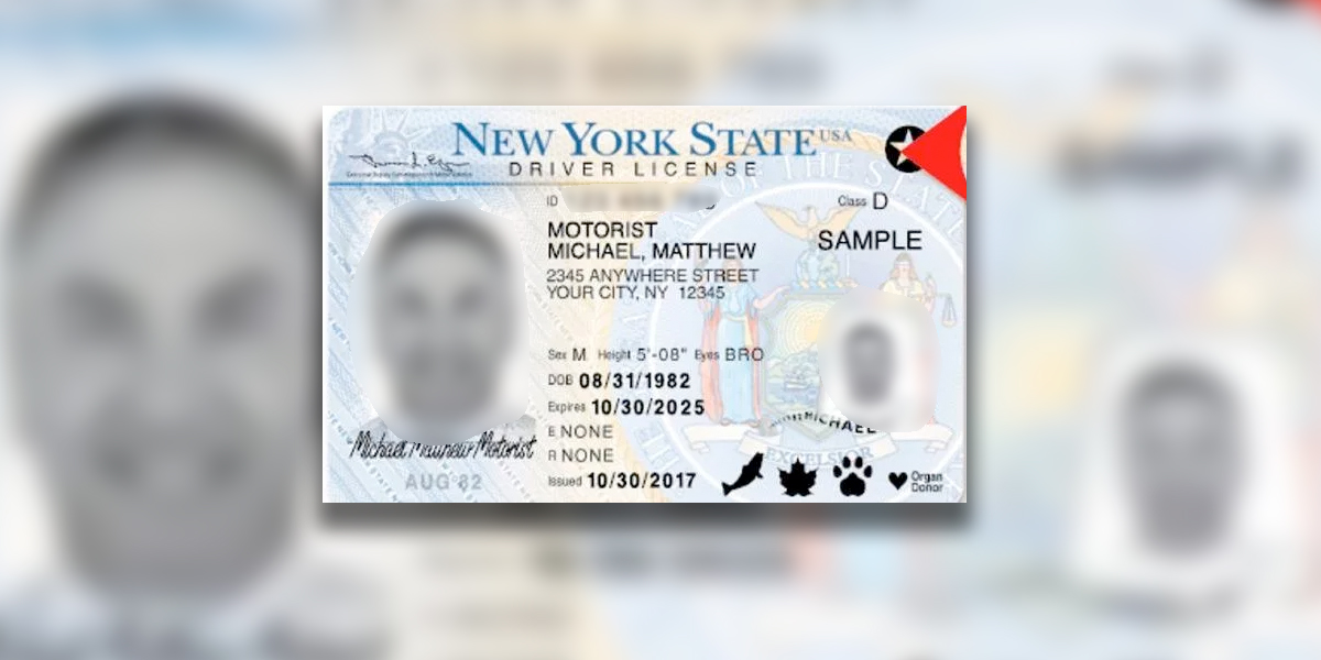 Nueva York dará primeras licencias de conducción a indocumentados en
