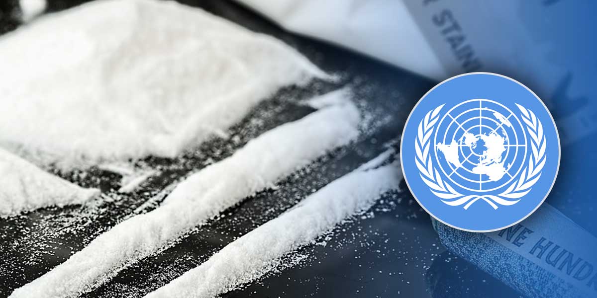 Producción Mundial De Cocaína Llegó A Máximos Históricos Colombia Principal Responsable Onu 6709