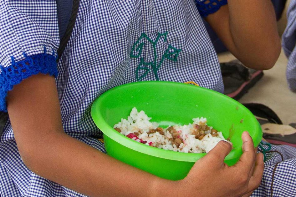 Procuraduría alerta sobre retrasos en PAE de Tolima, Sucre y Magdalena