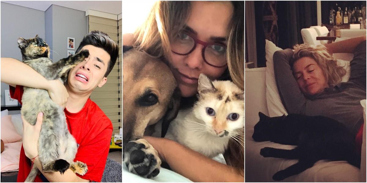 Los felinos de los famosos colombianos en el Día del Gato ...