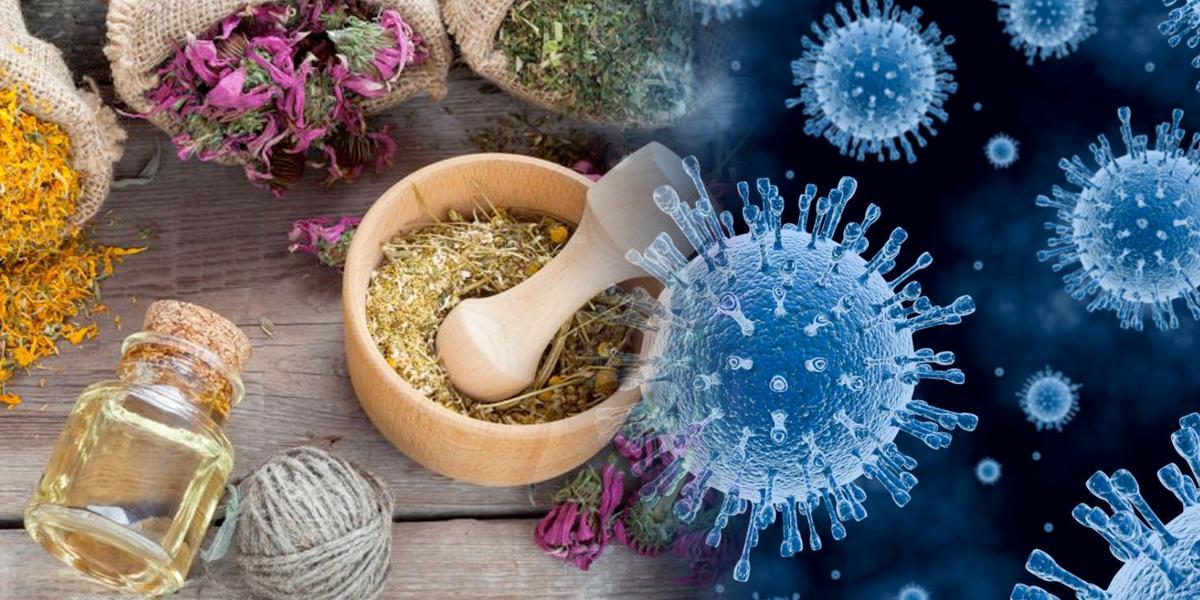 ¿Aceite de sésamo en la piel impide que el coronavirus entre al cuerpo?: aclare dudas sobre remedios absurdos