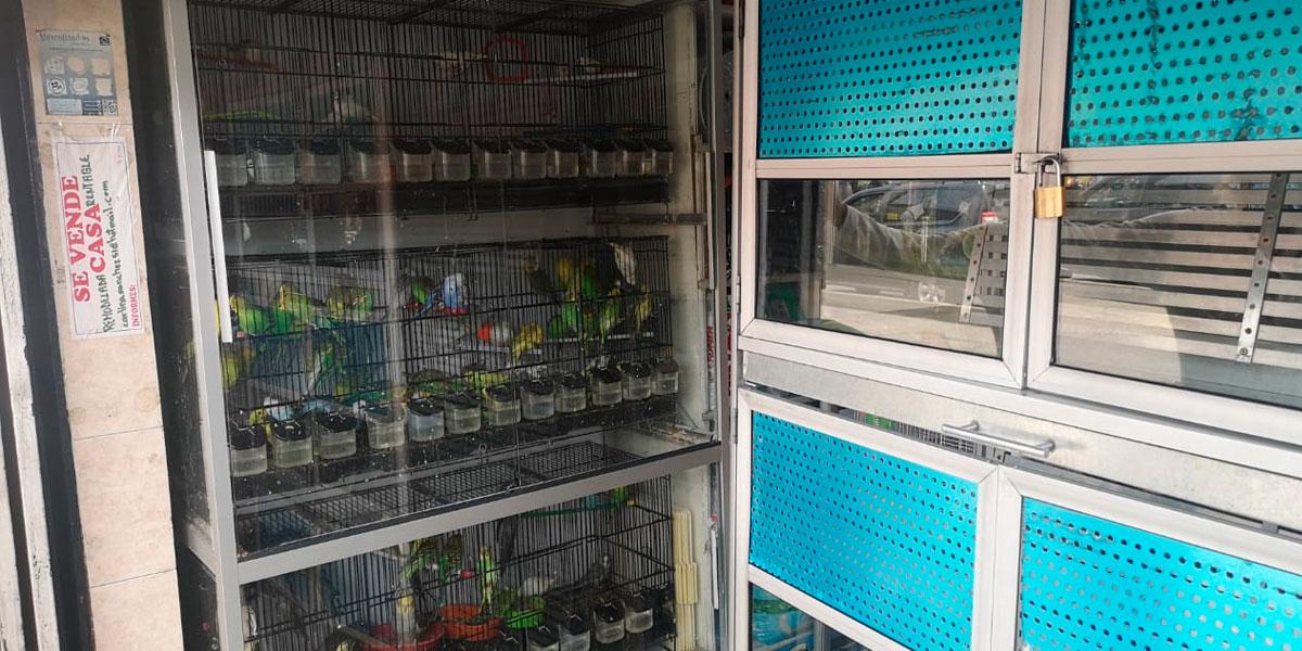 Realizan operativos a establecimientos de comercio donde aún permanecen animales