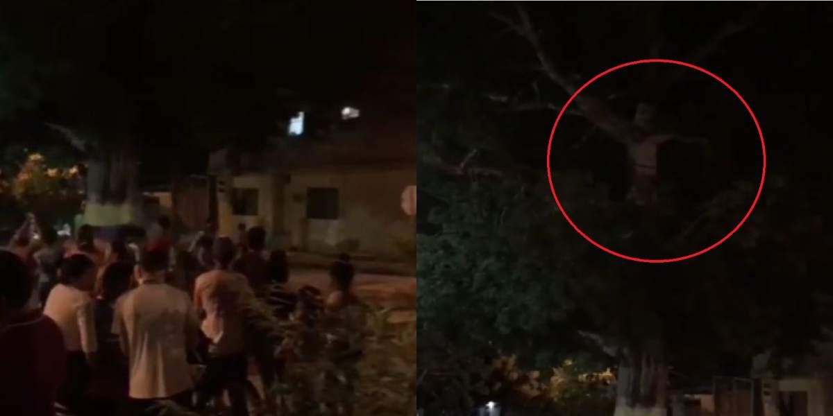 jesus en un árbol