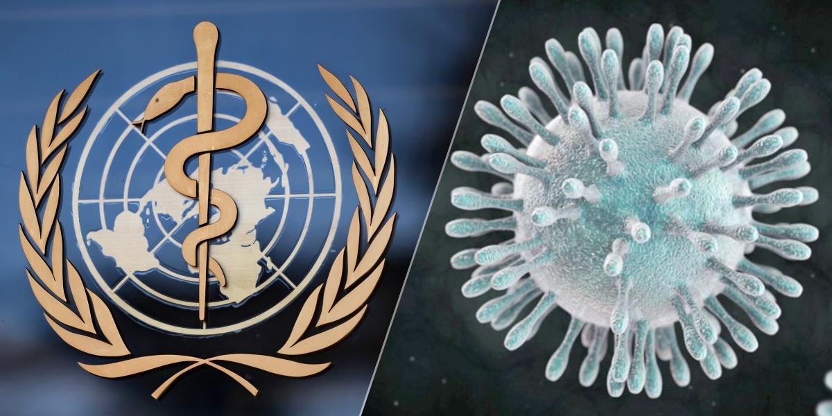 OMS confirma origen animal del coronavirus y refuta a EE. UU. sobre su creación en laboratorio