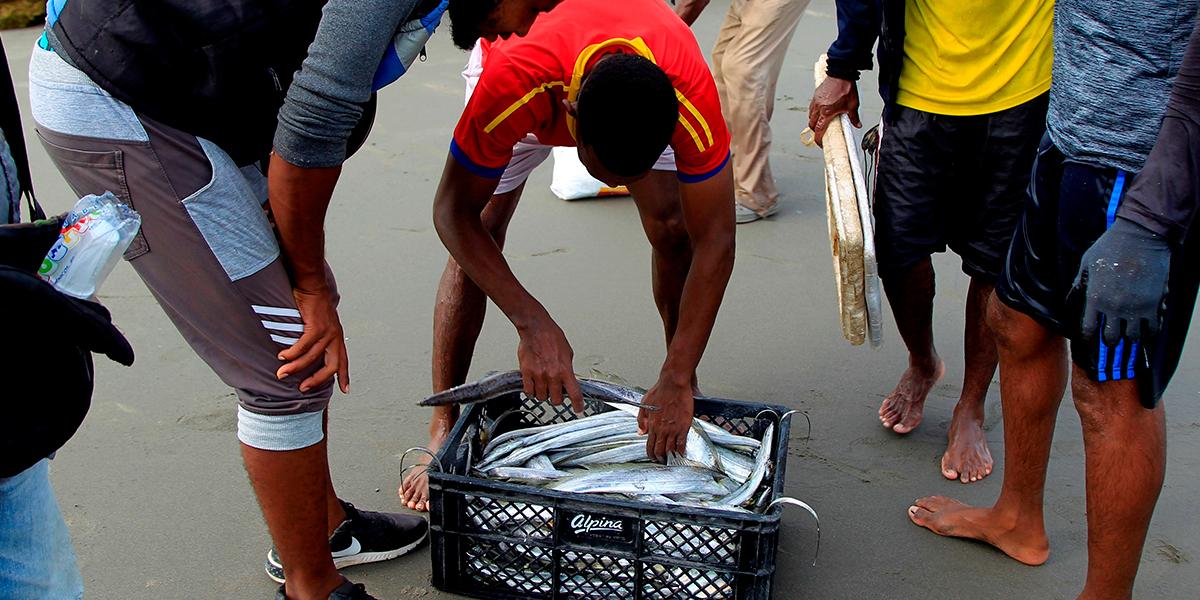 Pescadores temen morir primero de hambre que de COVID-19