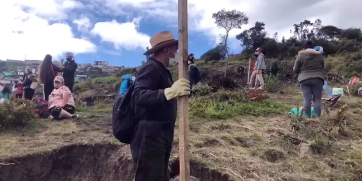 Realizan programa de reforestación en Usme, Bogotá