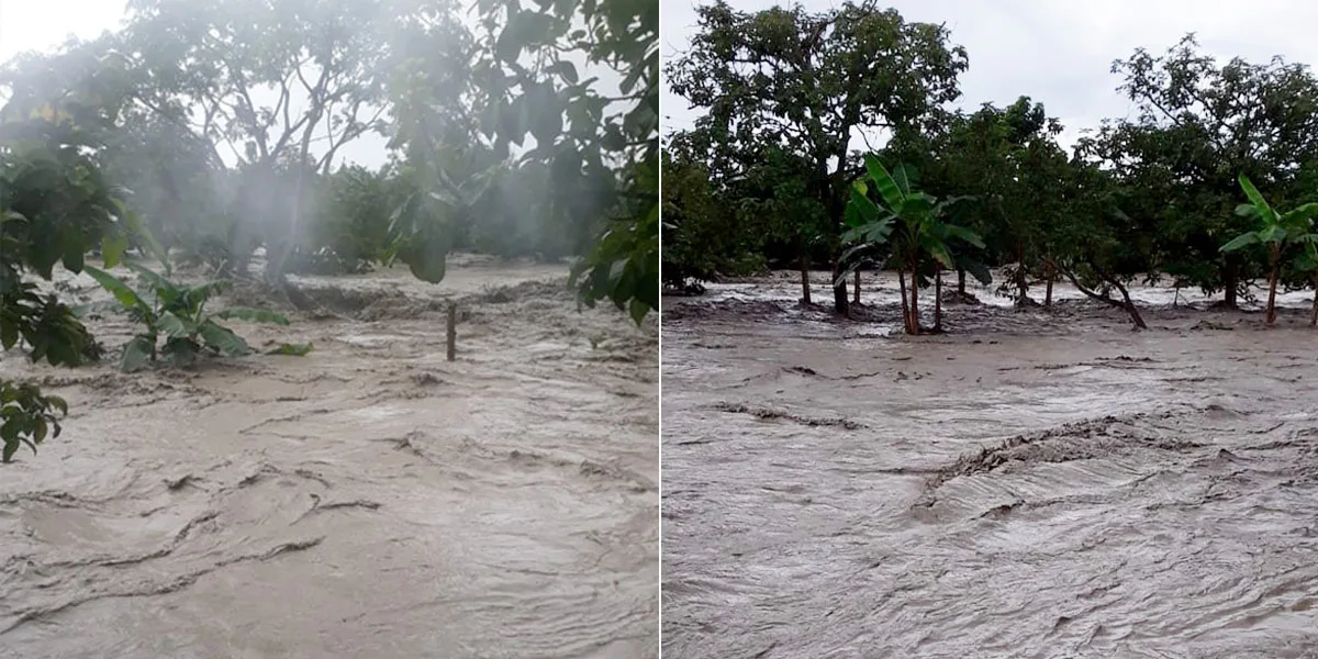 Desbordamiento de río Ariari afecta cinco municipios en el departamento del Meta