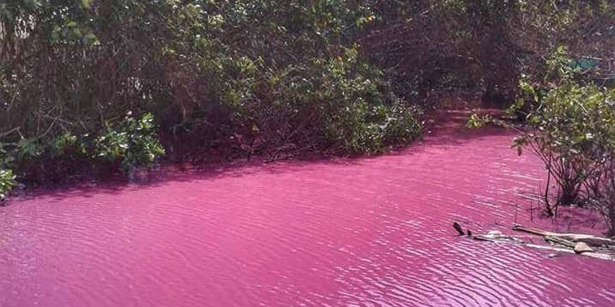 rio rosado san juan de uraba uveros colombia