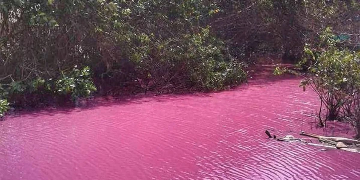En Colombia hay un río rosado que pocos conocen