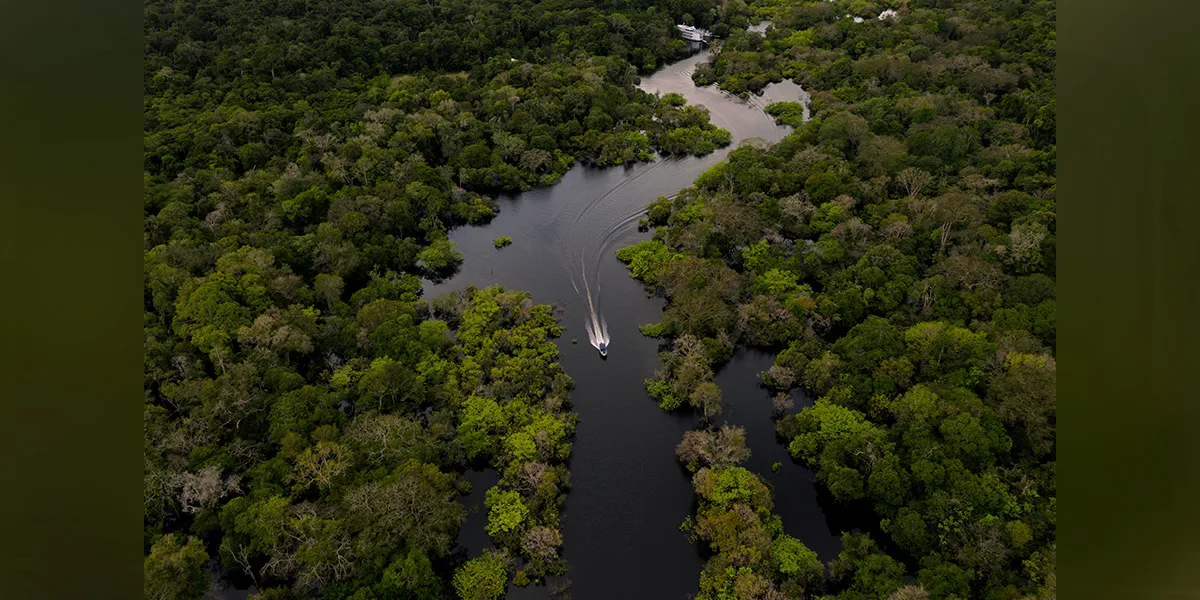 Encuentran con vida a dos niños que se perdieron un mes en la selva del Amazonas