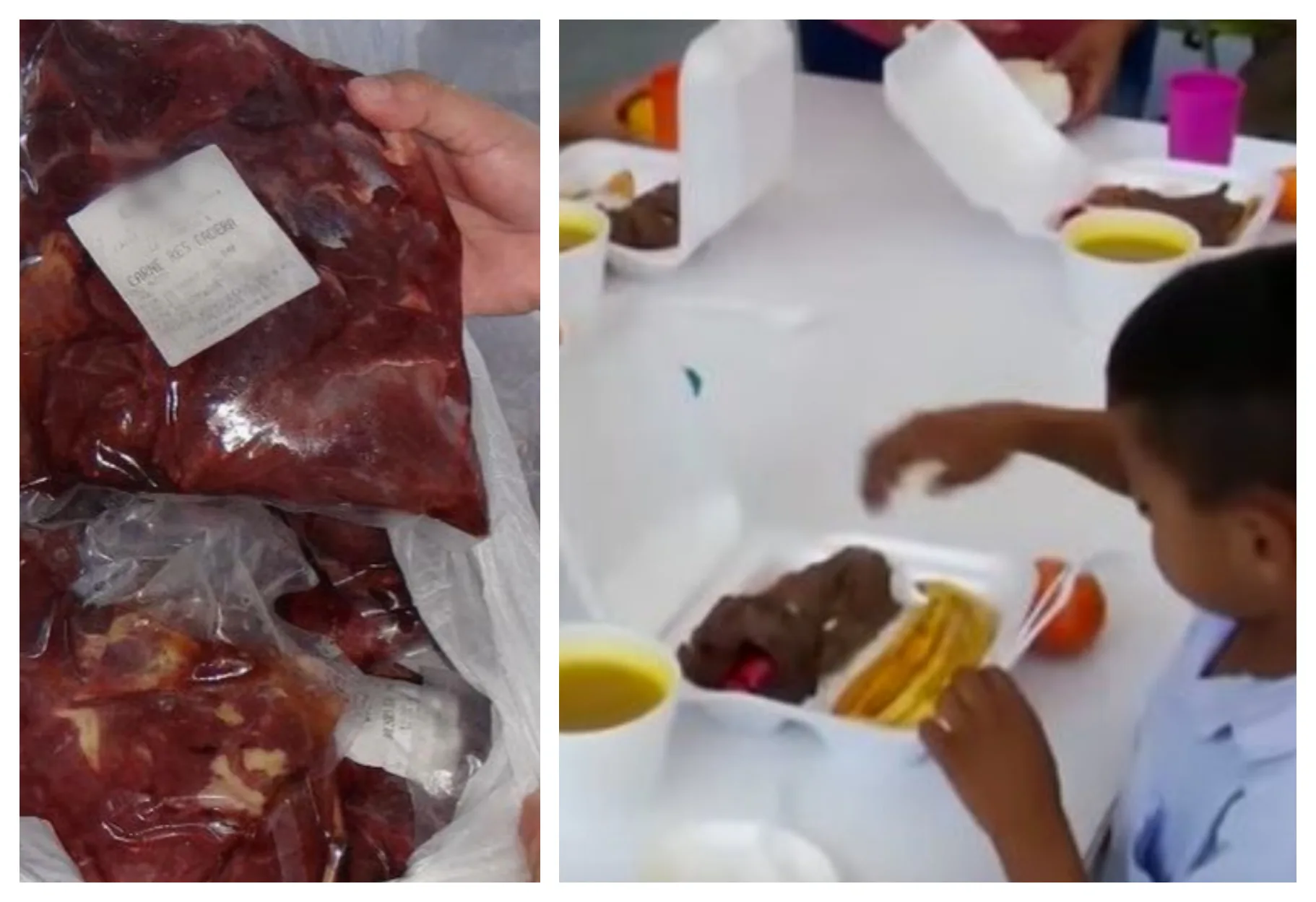 Carne de burro y caballo comían niños engañados con raciones escolares en Santander
