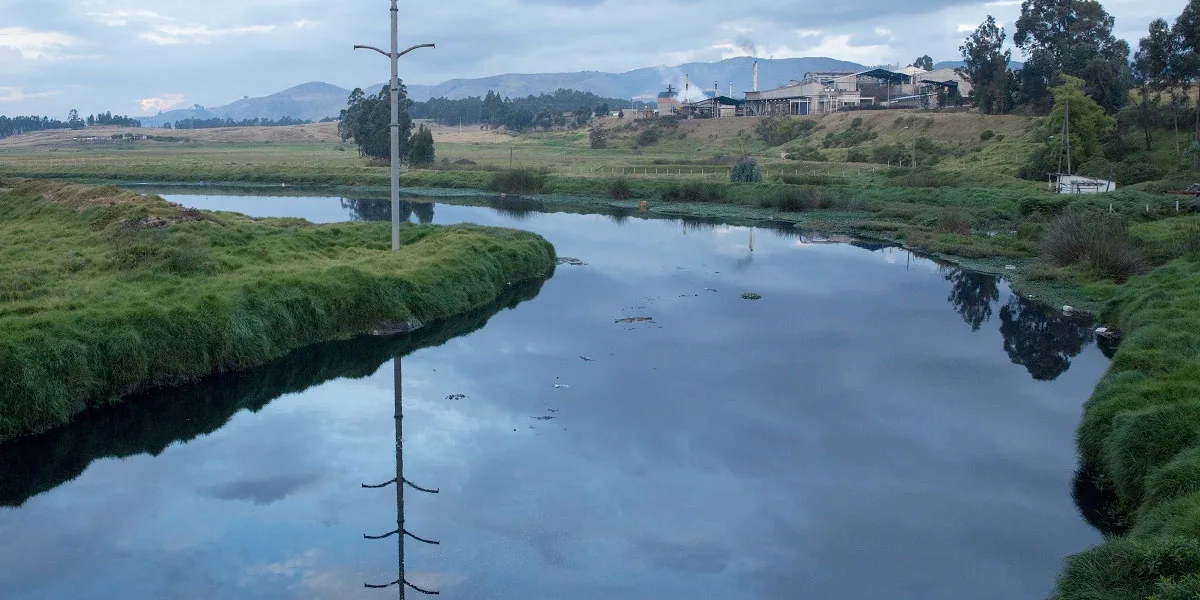 Estas son las acciones claves para el cuidado de los ríos en Bogotá
