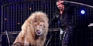 Francia prohibirá el uso de animales salvajes en los circos