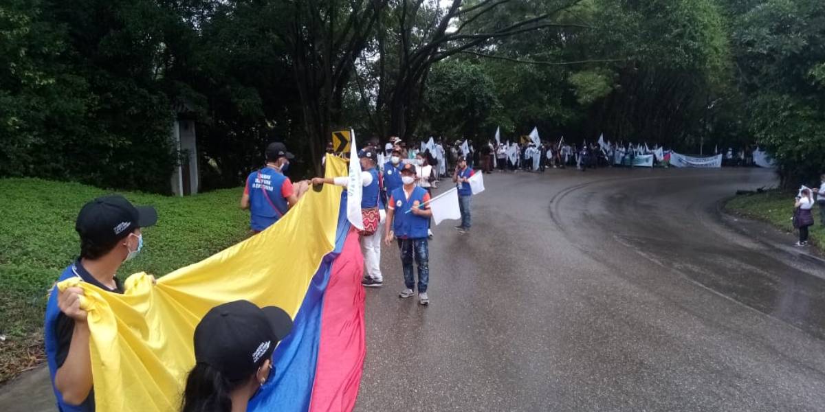 Desmovilizados de las FARC
