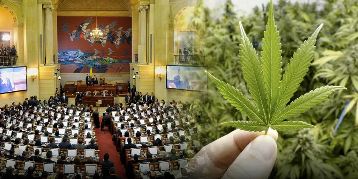 ¿Por qué el Congreso tumbó la legalización del cannabis recreativo en Colombia?