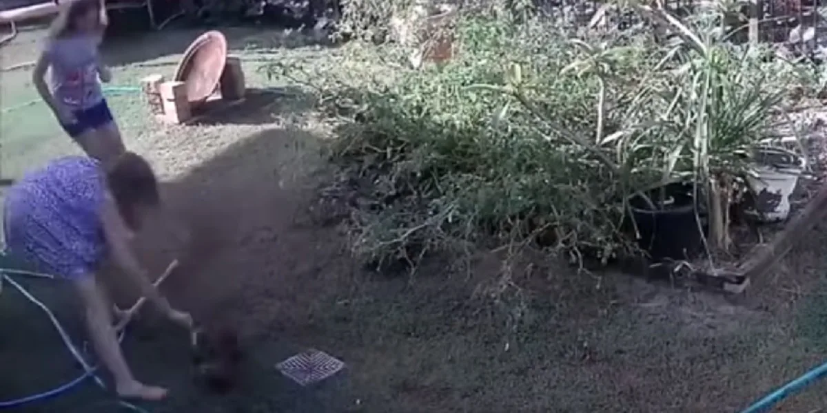Mujer arriesga su vida y enfrenta una serpiente pitón para salvar a su perrito