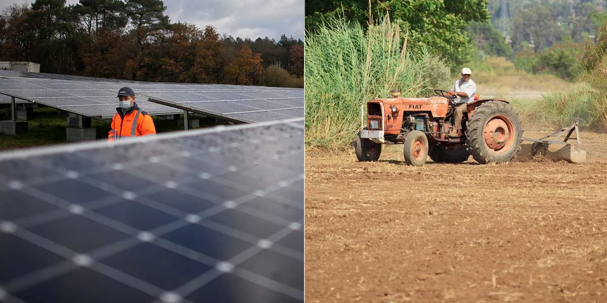 Nestlé redobla esfuerzos contra el cambio climático: apuesta a la agricultura regenerativa y energía renovable