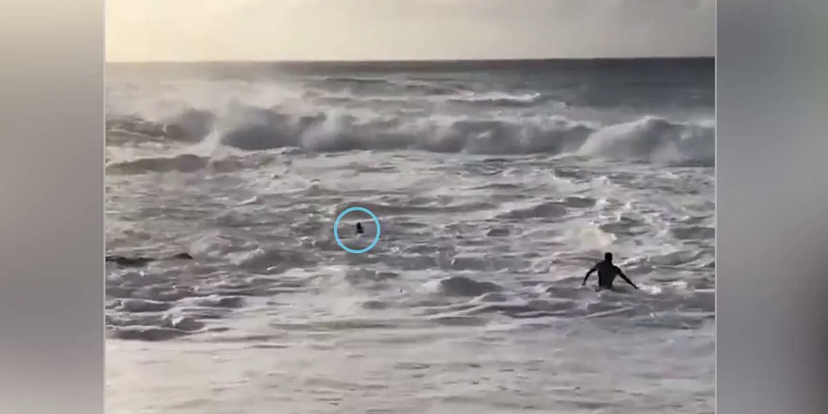 (Video) Heroico surfista rescata una mujer de las turbulentas olas del océano Pacífico