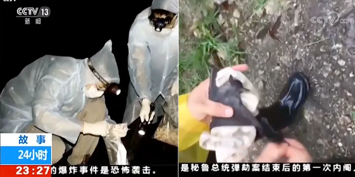 Científicos de Wuhan habrían sido mordidos por murciélagos antes que el &#8216;paciente cero&#8217; contagiara