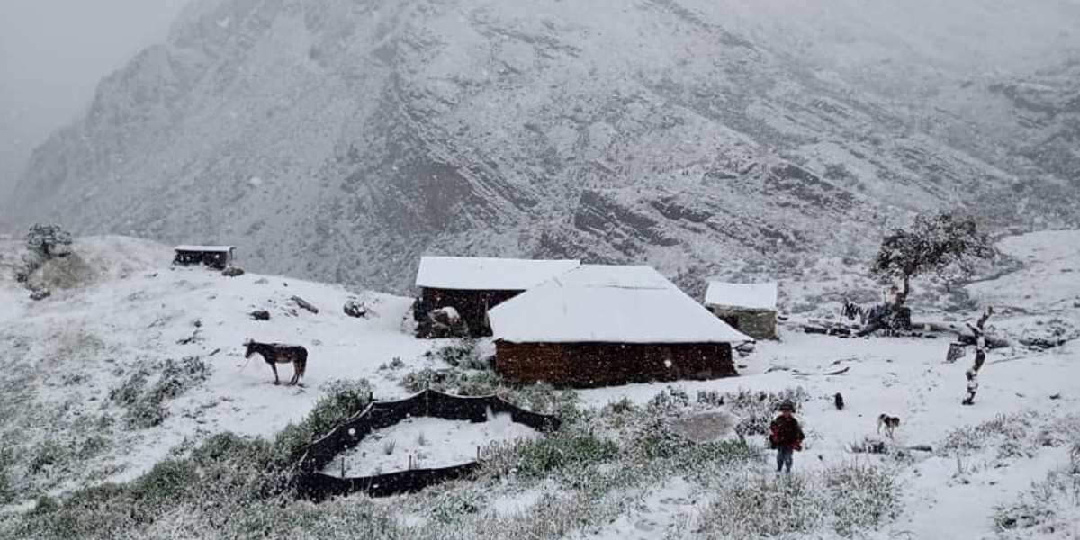 No es Alaska, es Boyacá: las imágenes del Parque El Cocuy por fuerte nevada