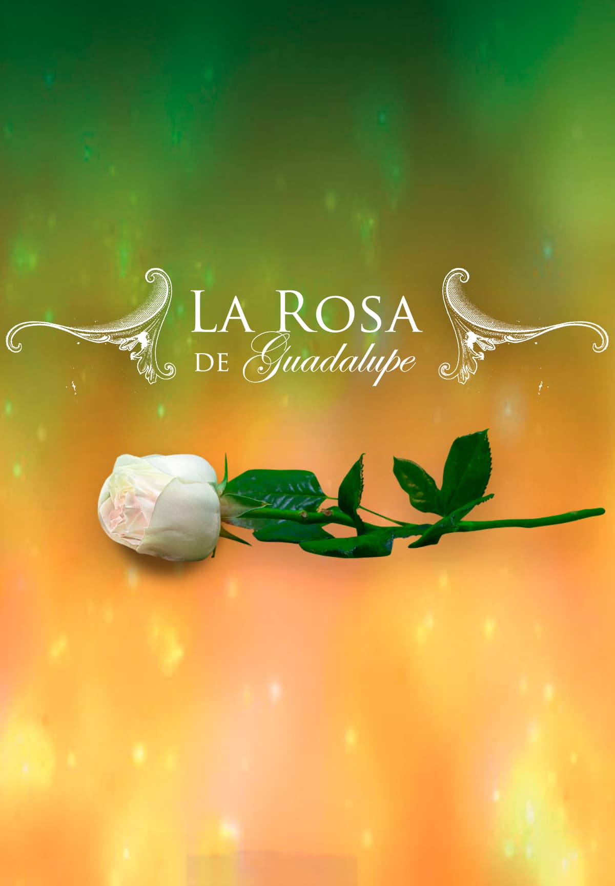 La Rosa de Guadalupe Canal 1