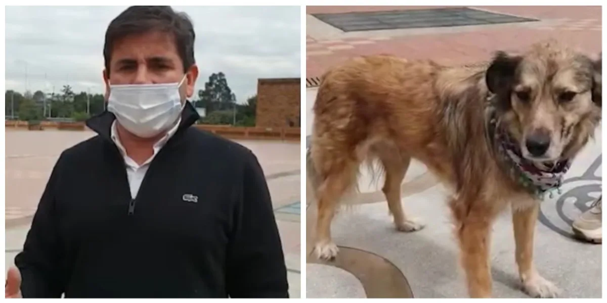 Viralizan a alcalde que pide matar perros callejeros y luego se retracta