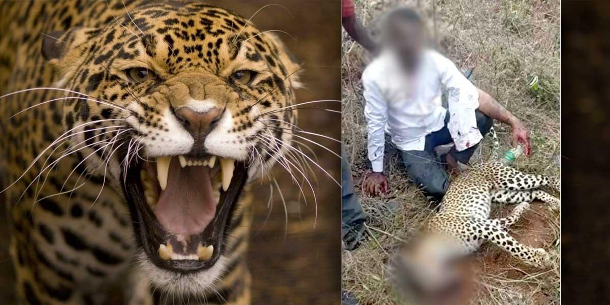Hombre estrangula a un leopardo para proteger a su familia - Noticentro 1  CM&