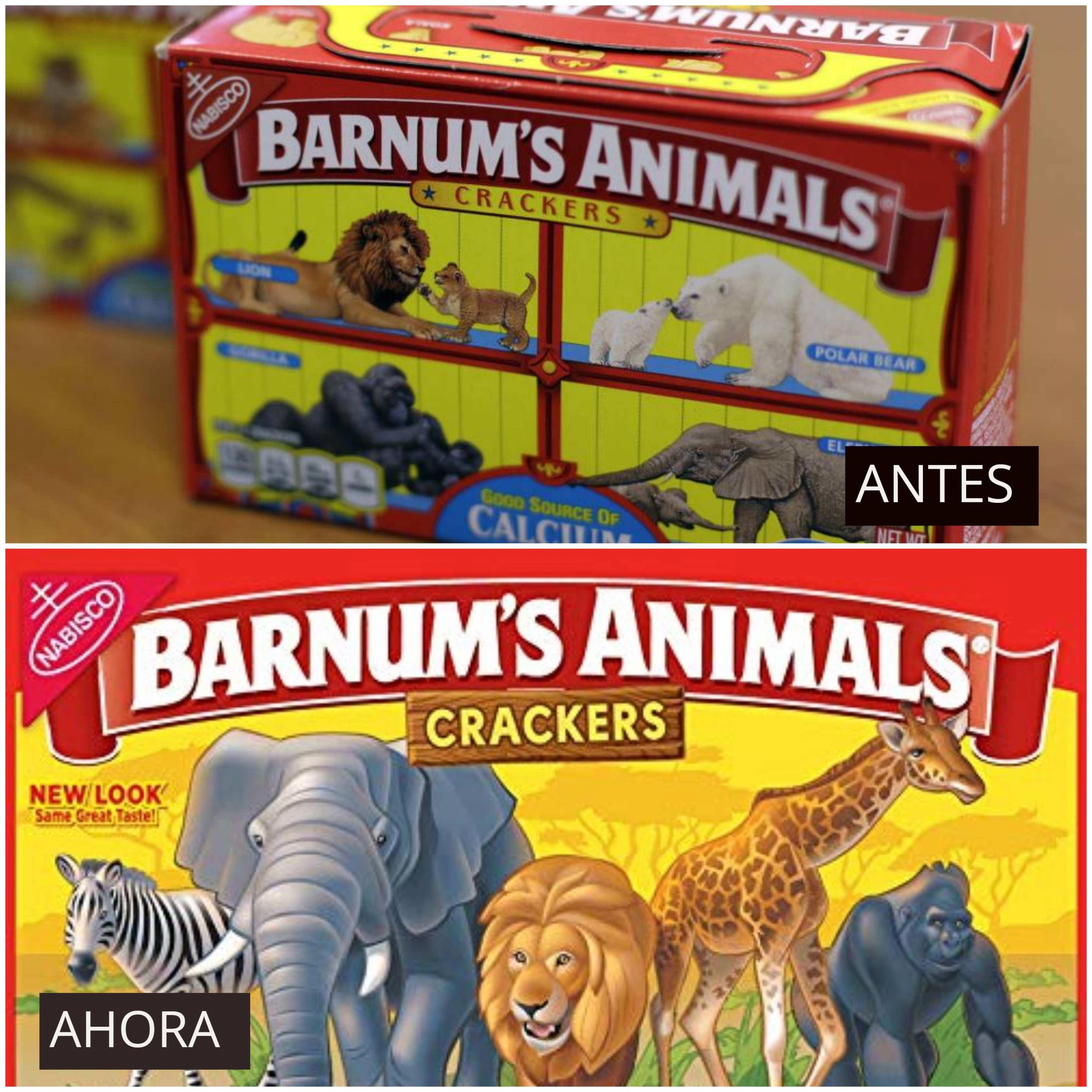 BARNUMS ANIMALS
