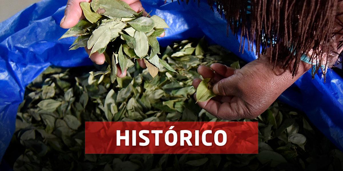 Aprueban En Primer Debate Proyecto Para Uso De La Hoja De Coca ...