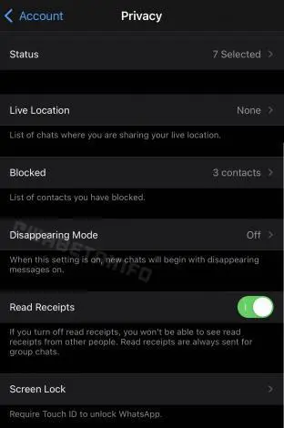Actualización WhatsApp