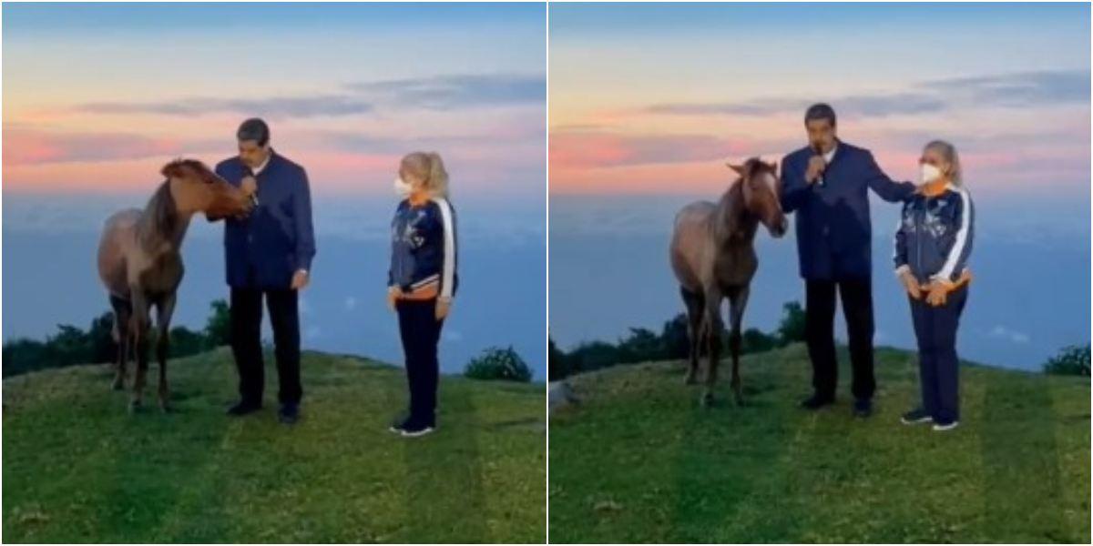 Nicolás Maduro hablando con un caballo