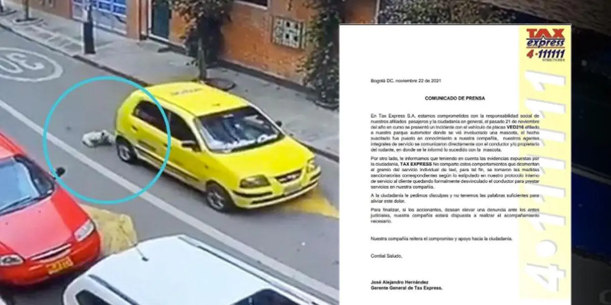 Despiden a taxista que atropelló a una perrita en Bogotá