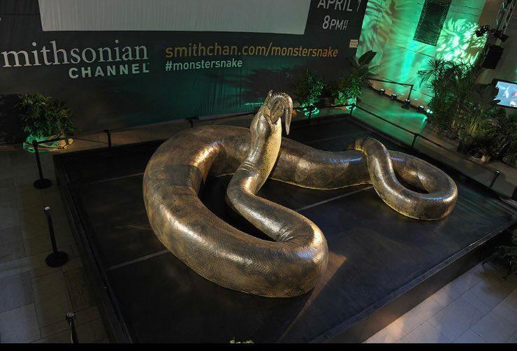 La Titanoboa, la serpiente más grande de la historia, fue descubierta en Colombia