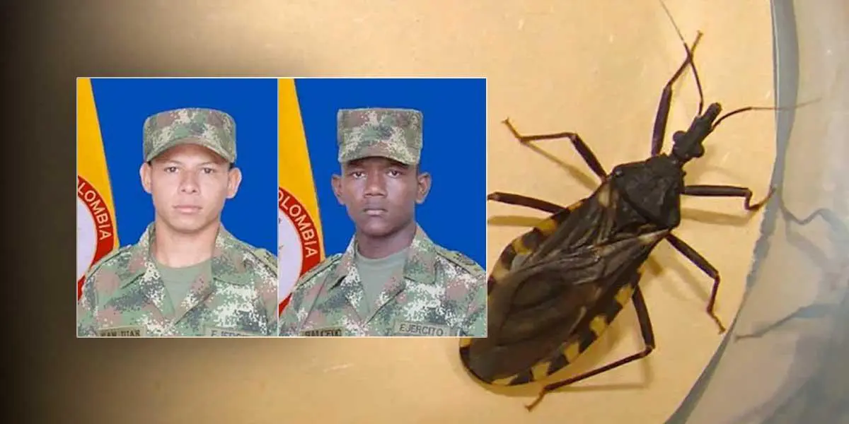 ¿Qué es el Mal de Chagas, el virus que mató a dos soldados en un batallón de Cesar?