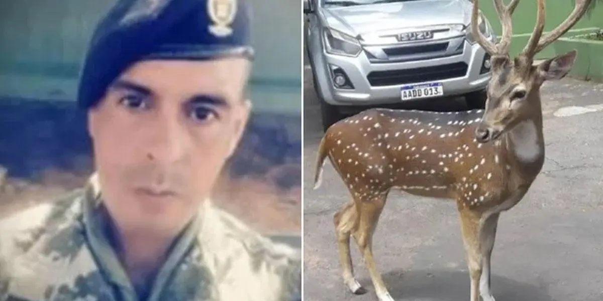 Sargento murió tras el ataque de un ciervo en la casa presidencial de Paraguay
