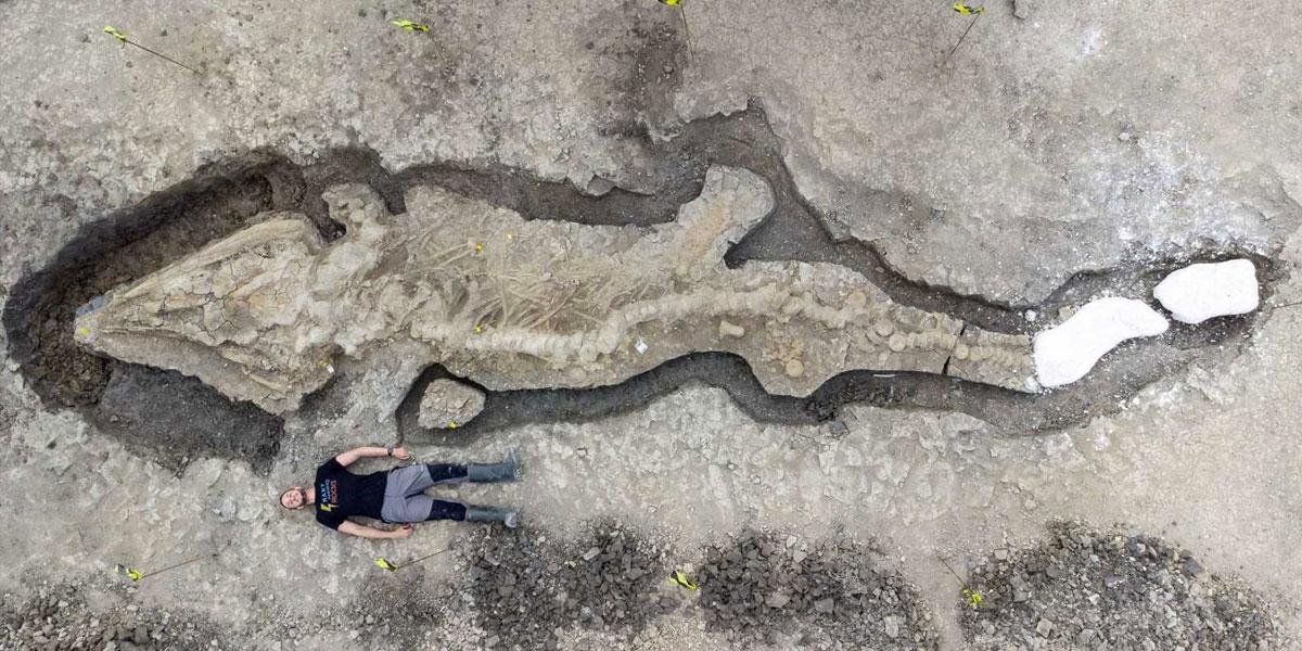 Hallan "dragón marino" fosilizado en una reserva natural de Inglaterra