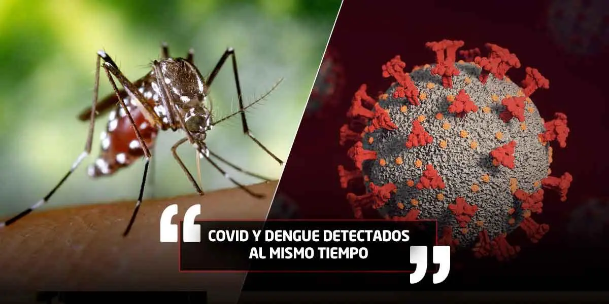 ¿Qué es el &#8216;coronadengue&#8217;, la nueva infección simultánea que ya circula en Latinoamérica?