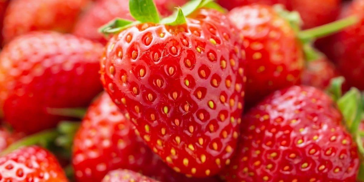 Beneficios y propiedades de comer fresas