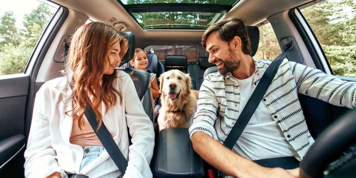 Consejos para viajar en carro con perros
