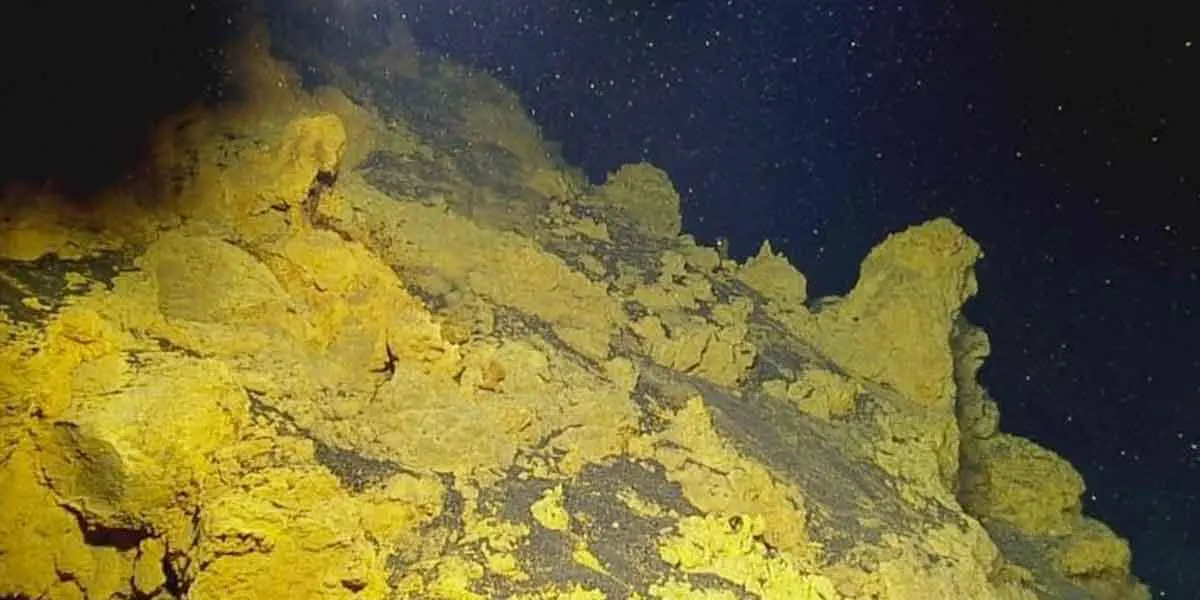 Misterio en el mar: Encontraron un camino de ladrillos amarillos a 3000 metros de profundidad